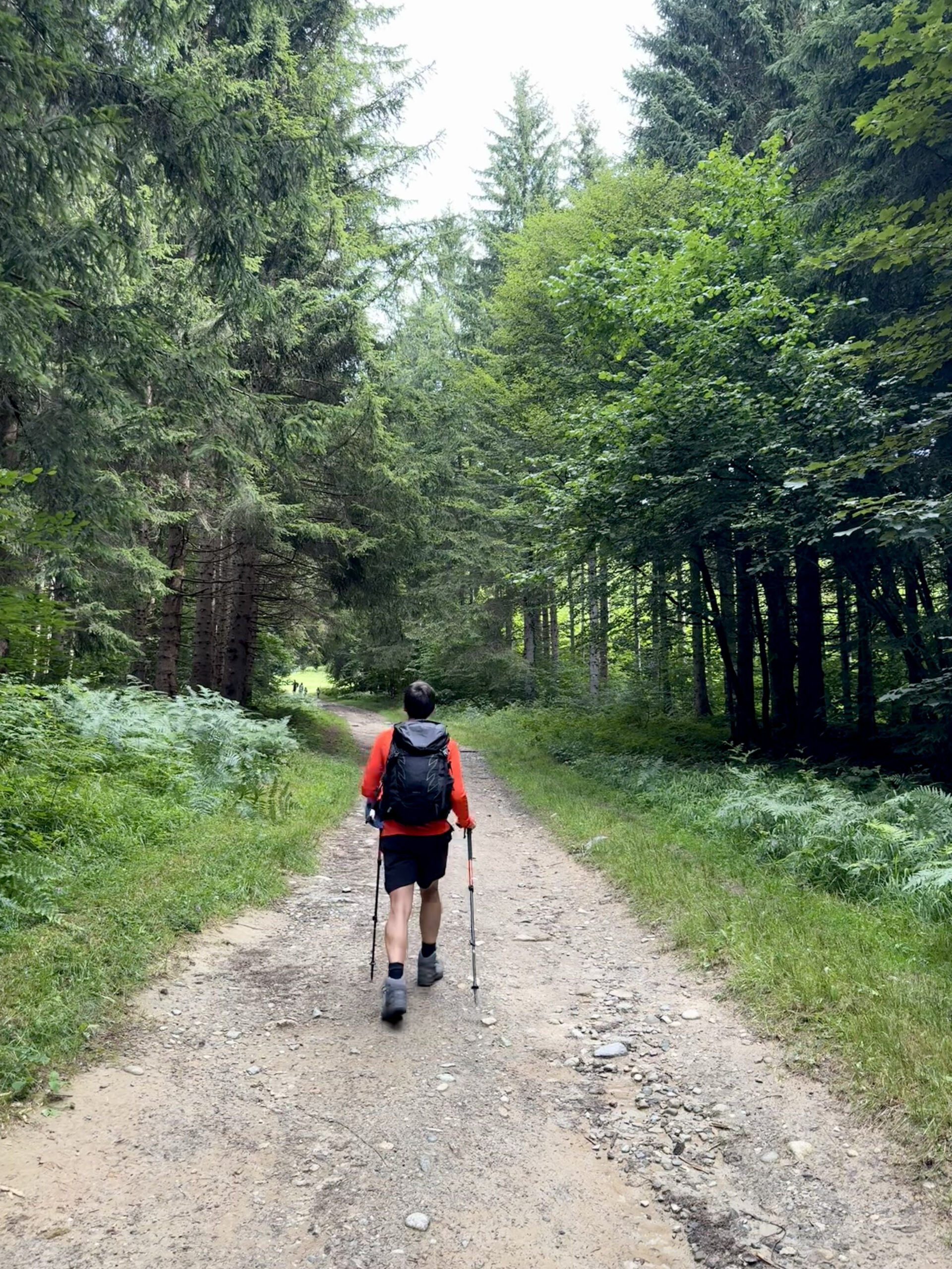 ChrisxBianca, Chris & Bianca, Austria, Innsbruck, Nordkette hike forest